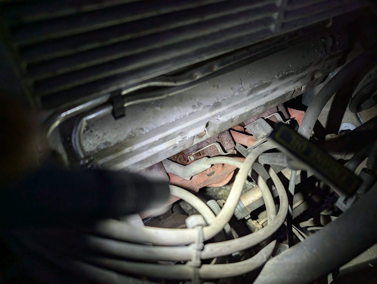 93 Splash in SC, V8-Swap version