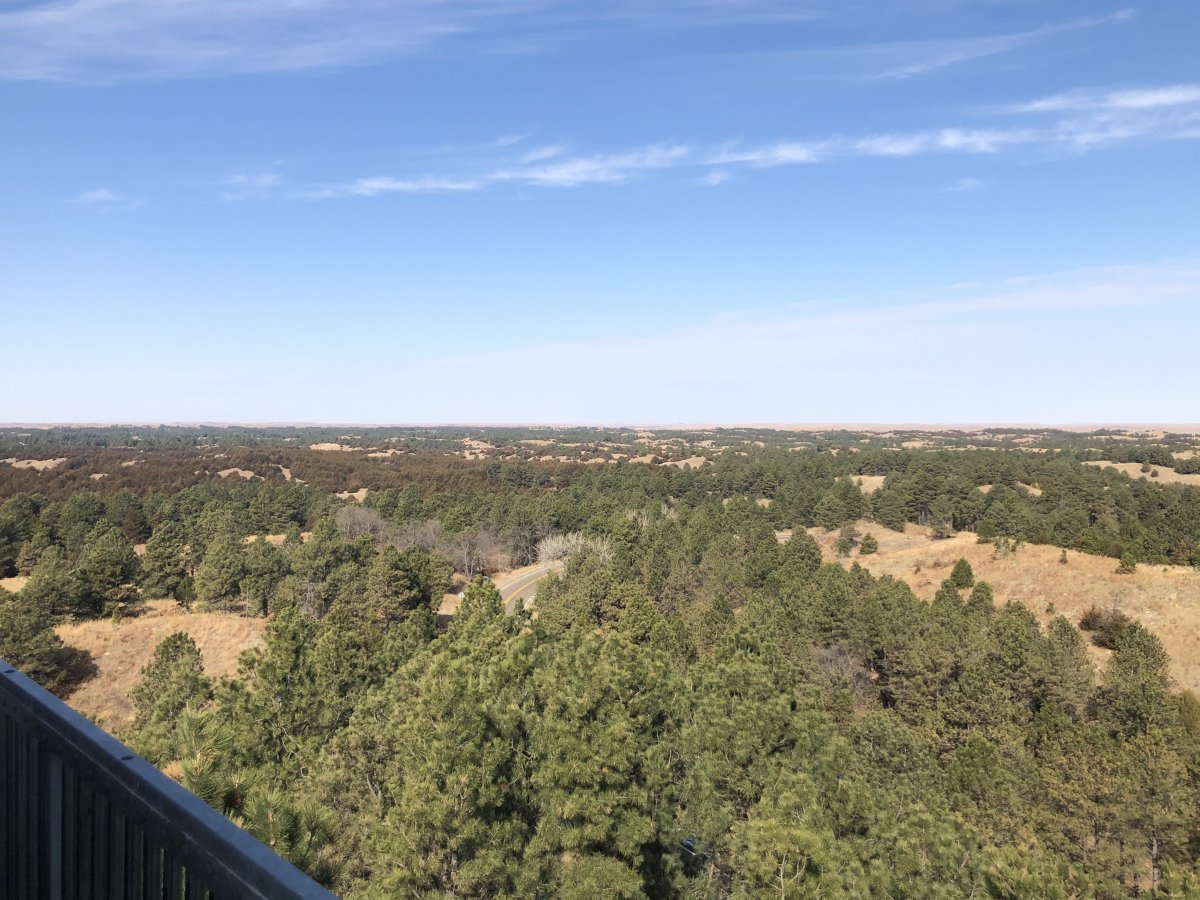29BC1849-9719-4E54-B5D5-C11E6042E08C.jpeg