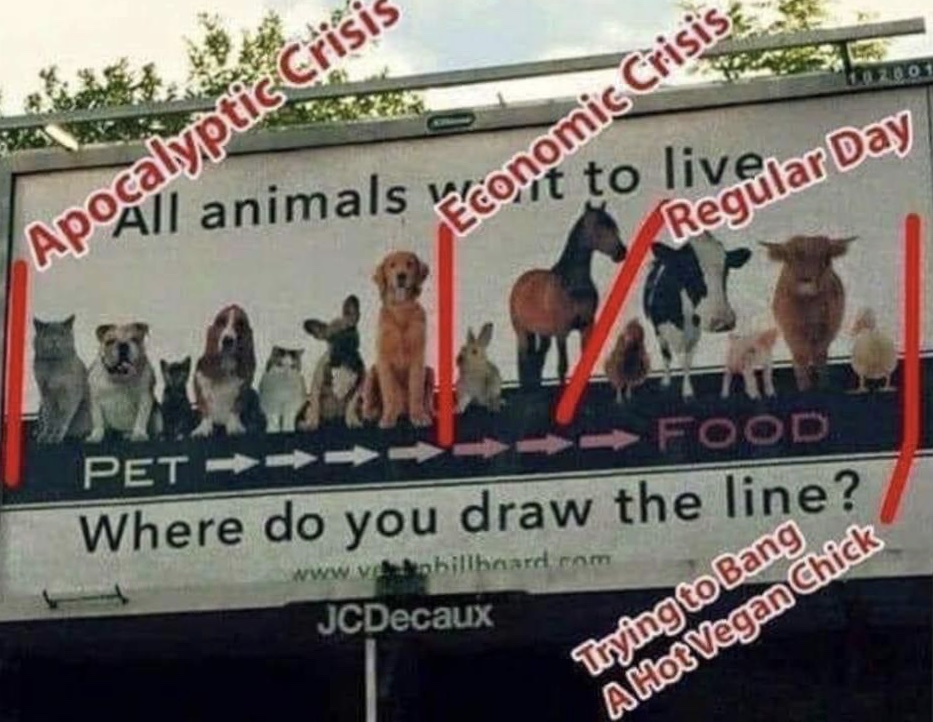 71871