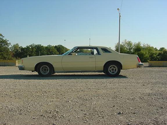 4518870024_large.jpg