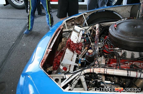 622724061_z8eBx-M.jpg
