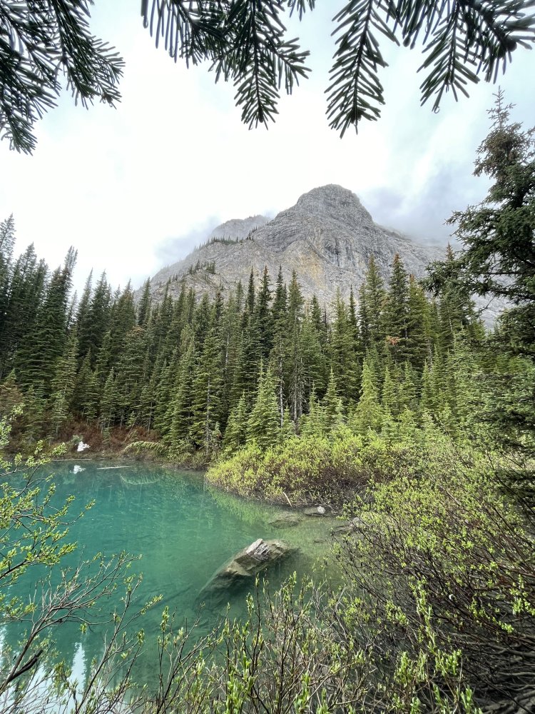 69392FFE-BC7F-45E2-8669-133762DB6DAF.jpeg