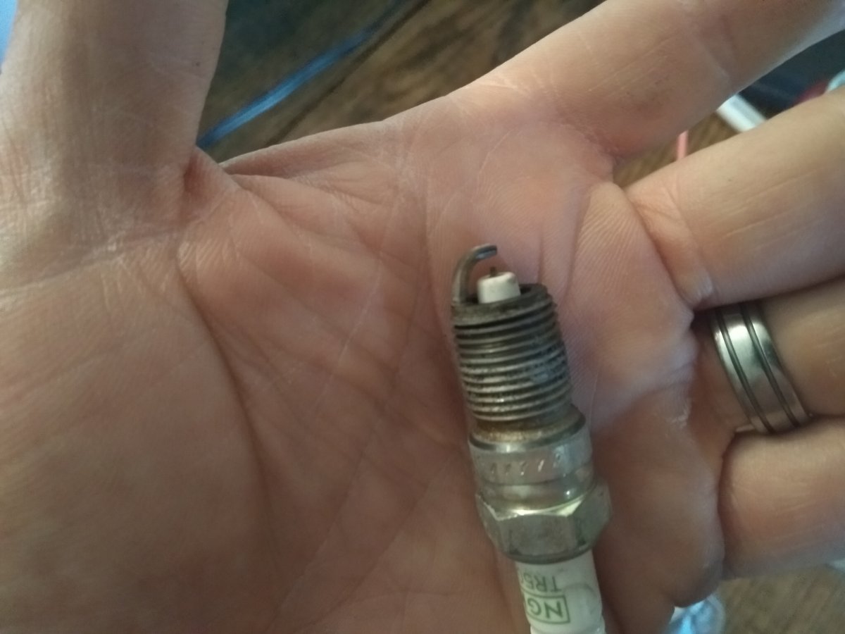 6thplug.jpg