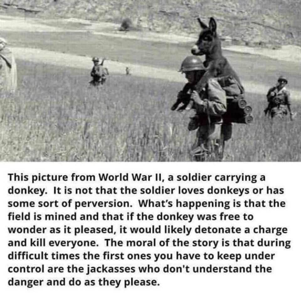 39484