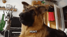 96D8AF82-B3F3-43EF-86DC-FD257F10FDEF.gif