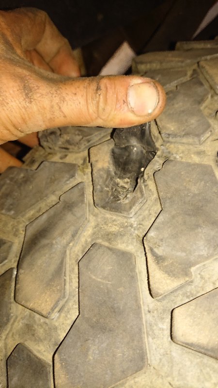 _20190916_000613.JPG