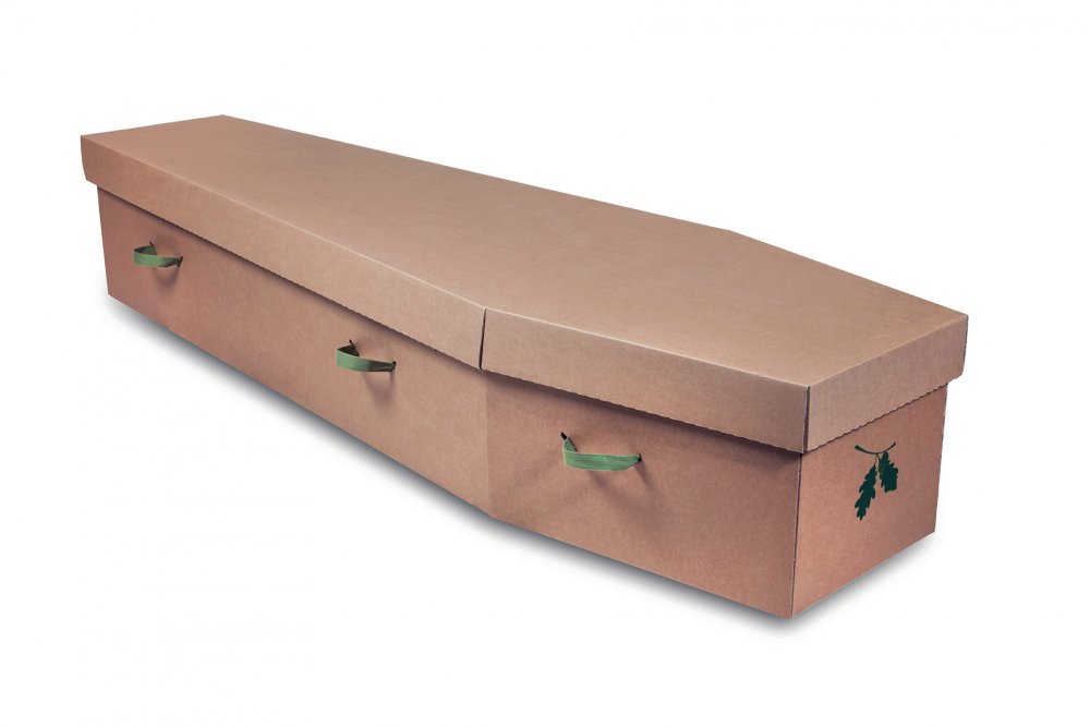 AcornCardboardCoffin.jpg