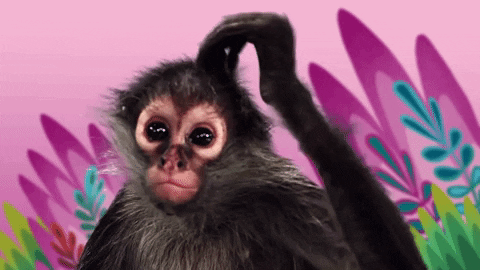 AF6125E4-0332-4E4D-9FBB-0BA6CC45B0D3.gif