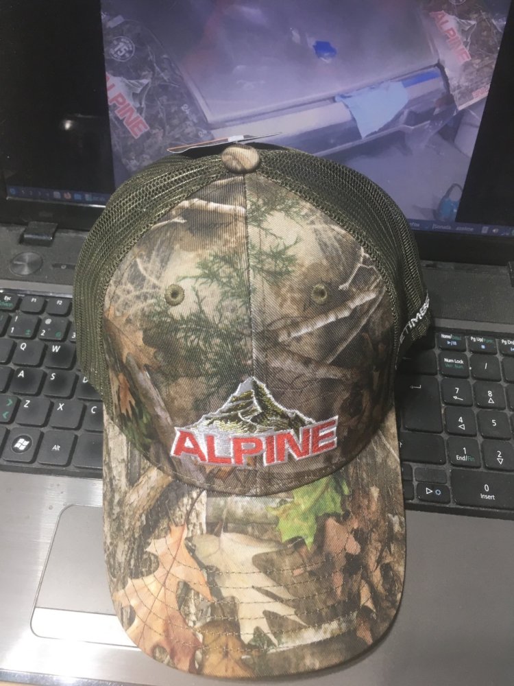 alpine.jpeg