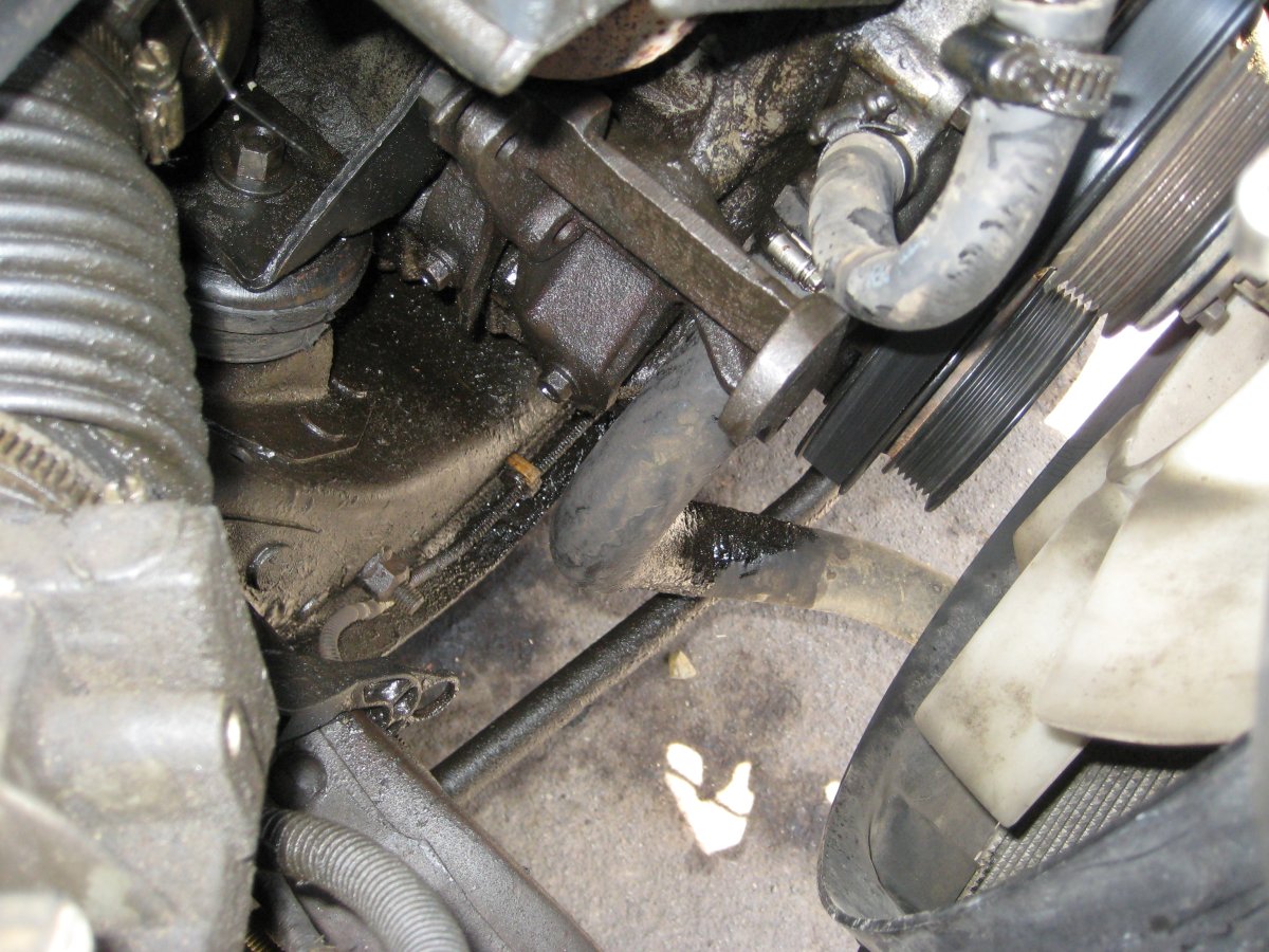 april2010 009.jpg