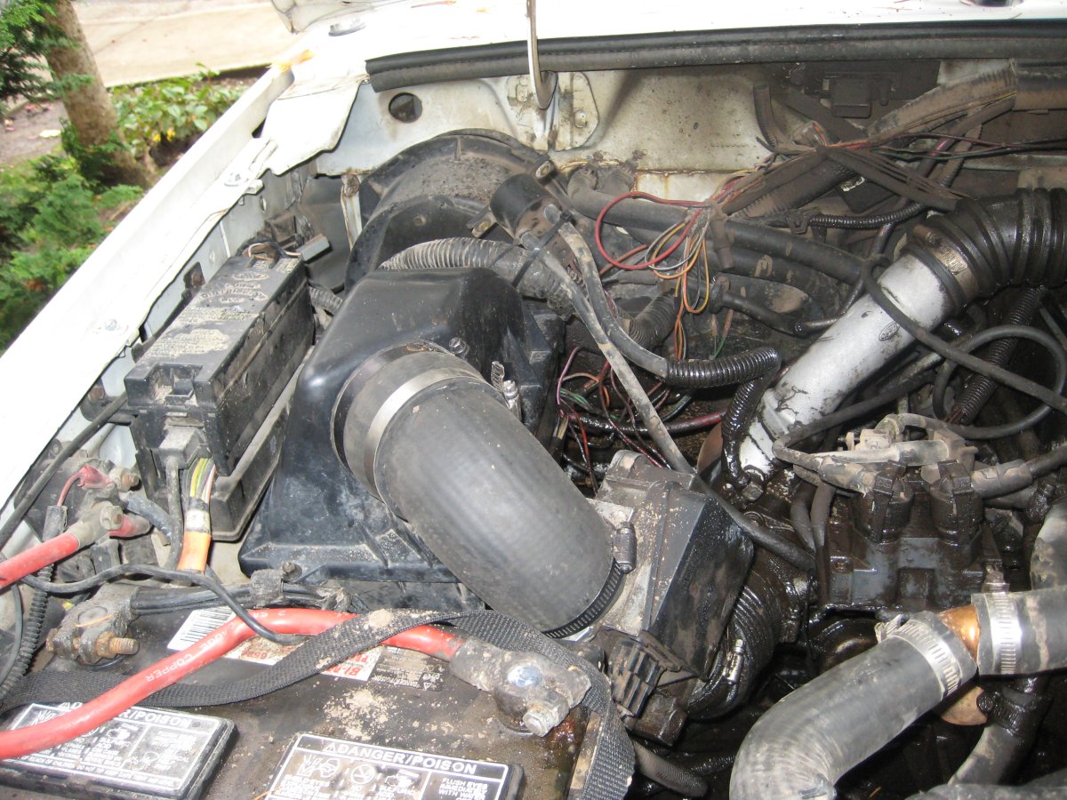 april2010 083.jpg