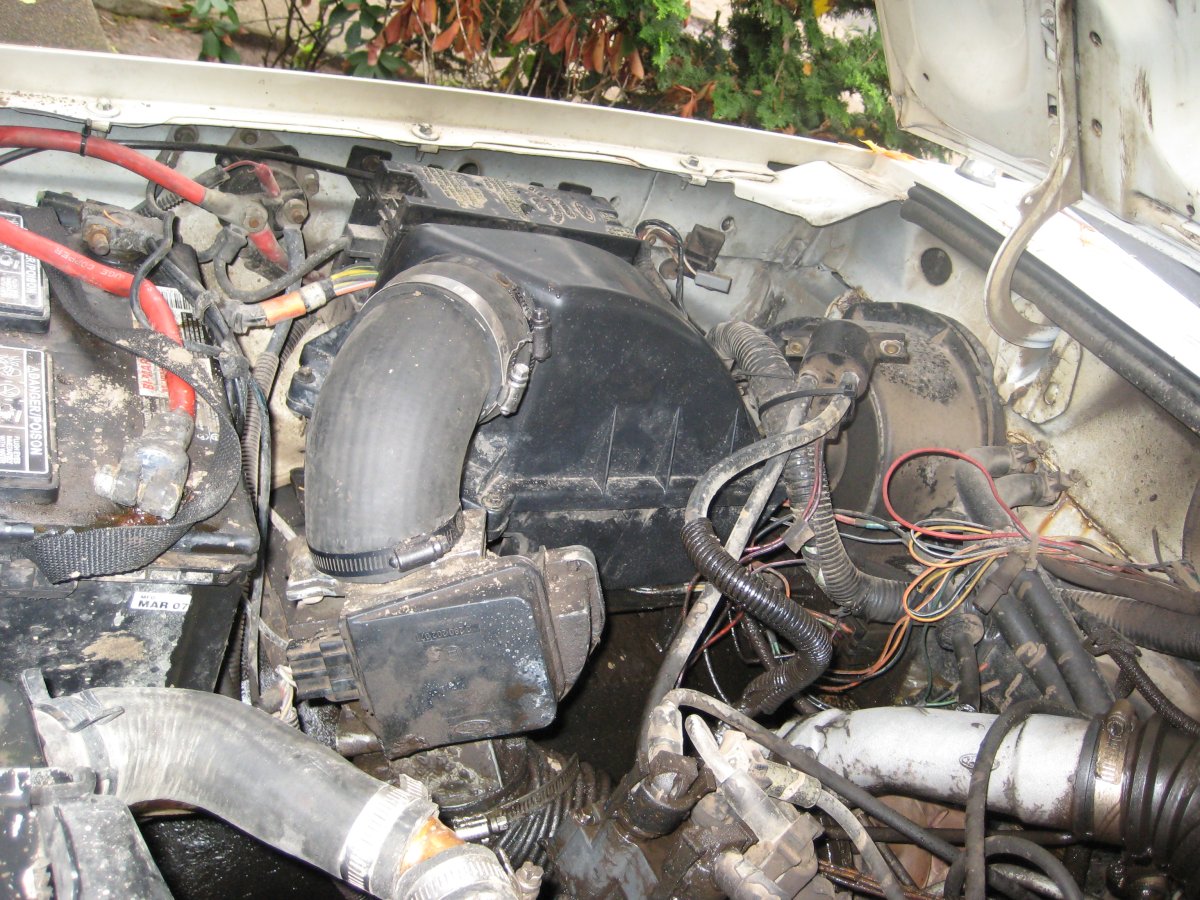 april2010 084.jpg