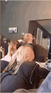 B182C8D9-999E-470E-A6F7-75766066E438.gif