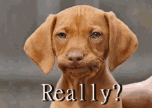 B396BDDA-E09E-45A0-9039-6F0B3D11504D.gif
