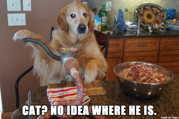 B9C93589-8B98-489E-90C1-6A6ED3B4BBA7.png