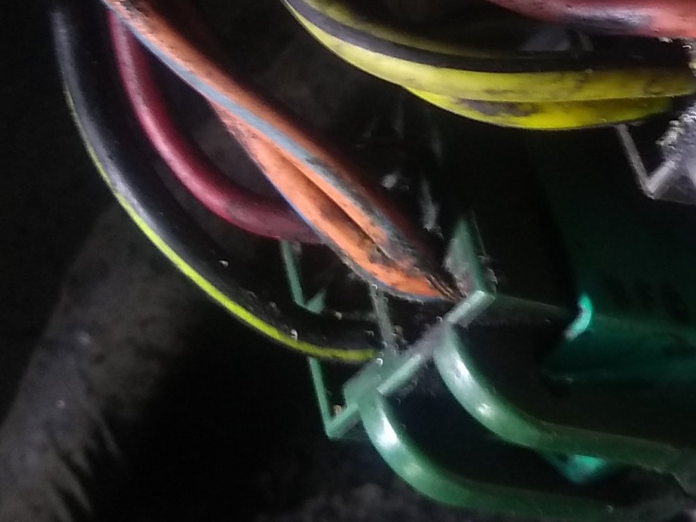 badwire.jpg