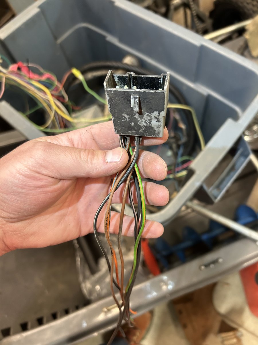 black plug.jpg