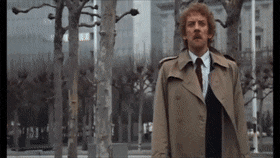 BountifulFlawlessHarborporpoise-max-1mb.gif