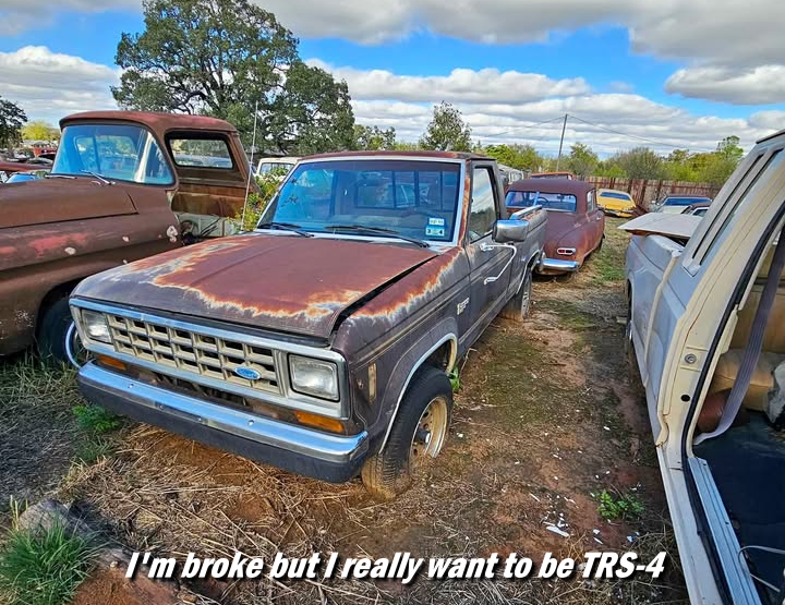 brown_ford_ranger_patina_salvage.PNG