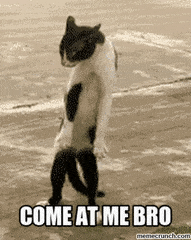 CanineWarmIvorybilledwoodpecker-max-1mb.gif