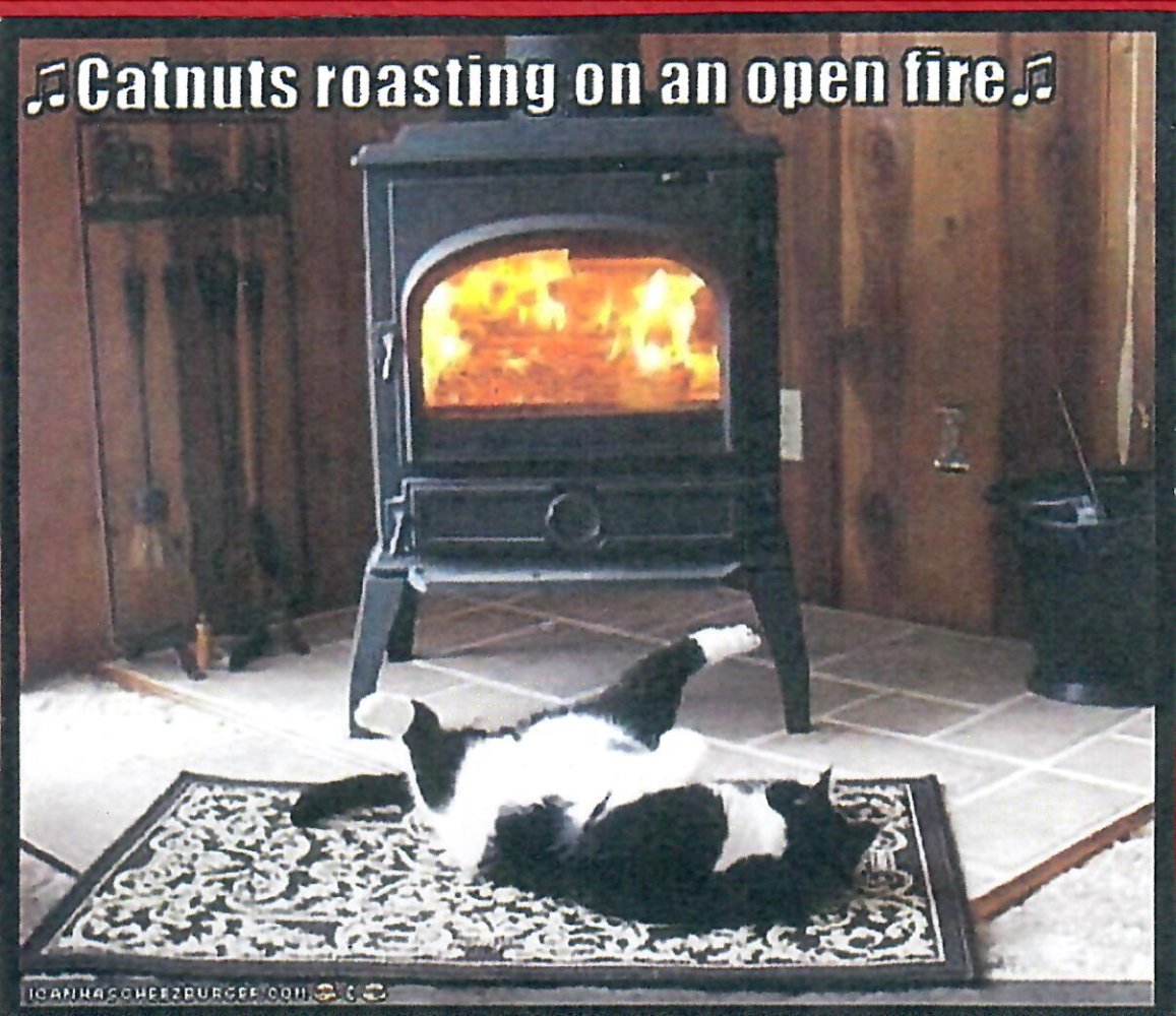 catnuts.jpeg