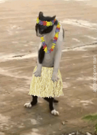 CDAB4080-8C59-4840-A9C3-BA52994C800C.gif