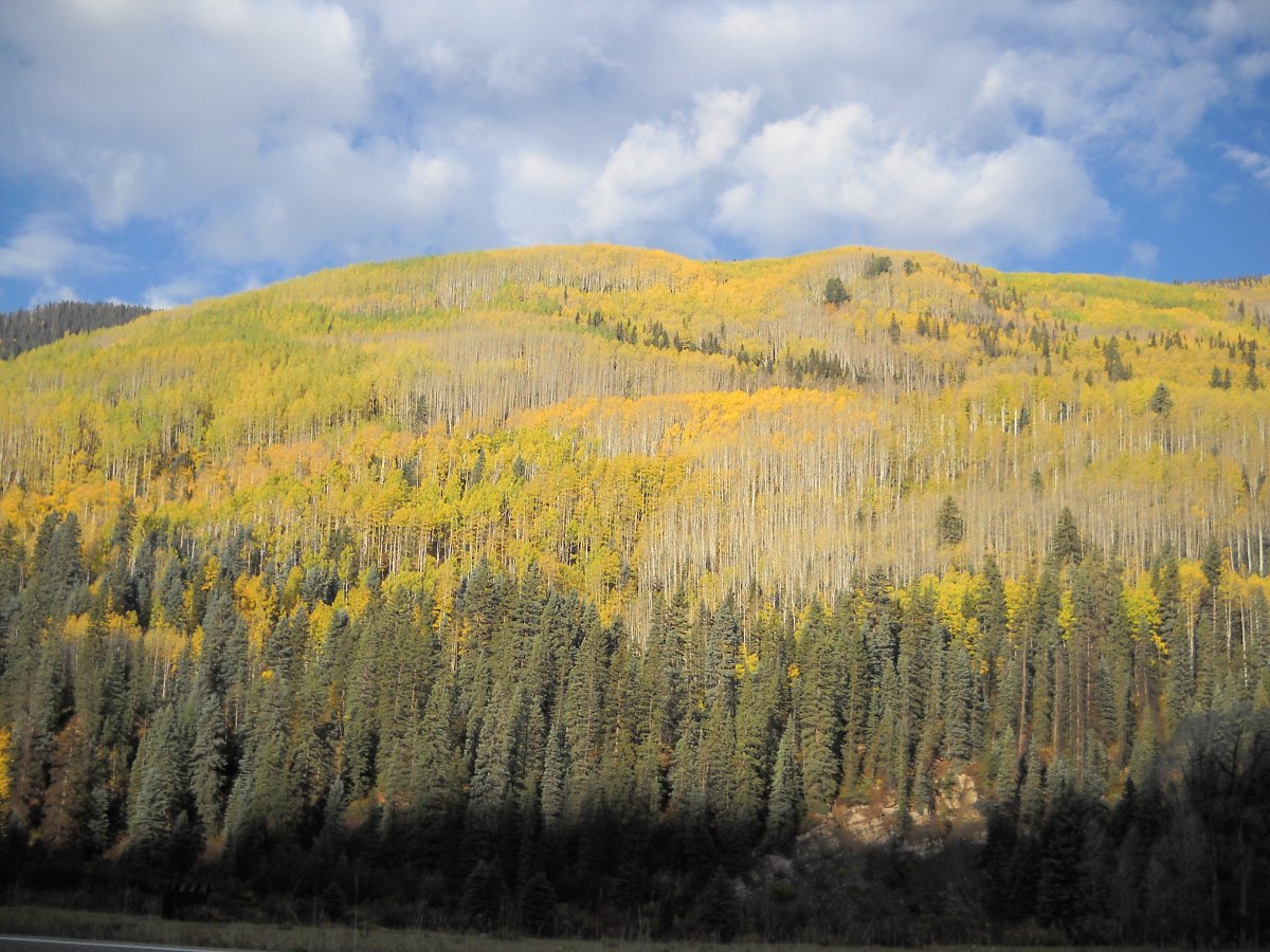 Colorado Trip PICS 059.jpg