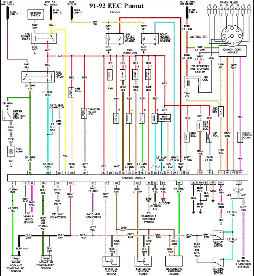 Colored Diagram.PNG