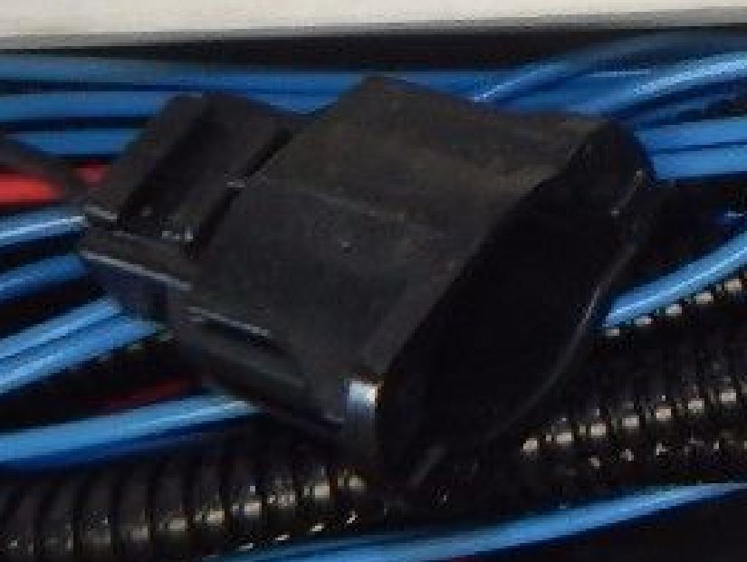 30064