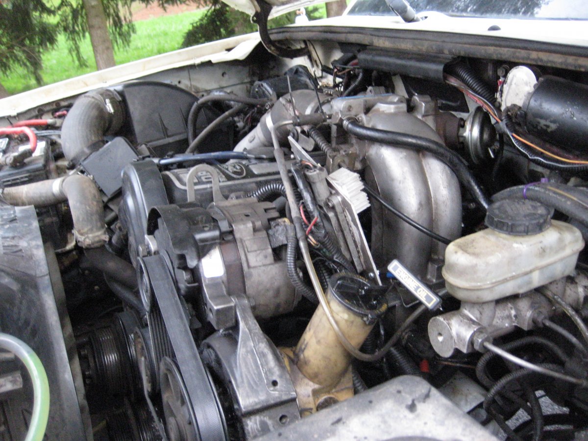 Copy of Ranger 016.jpg
