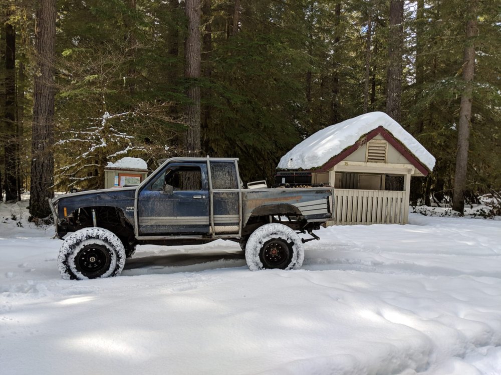 curly creek snow.jpg