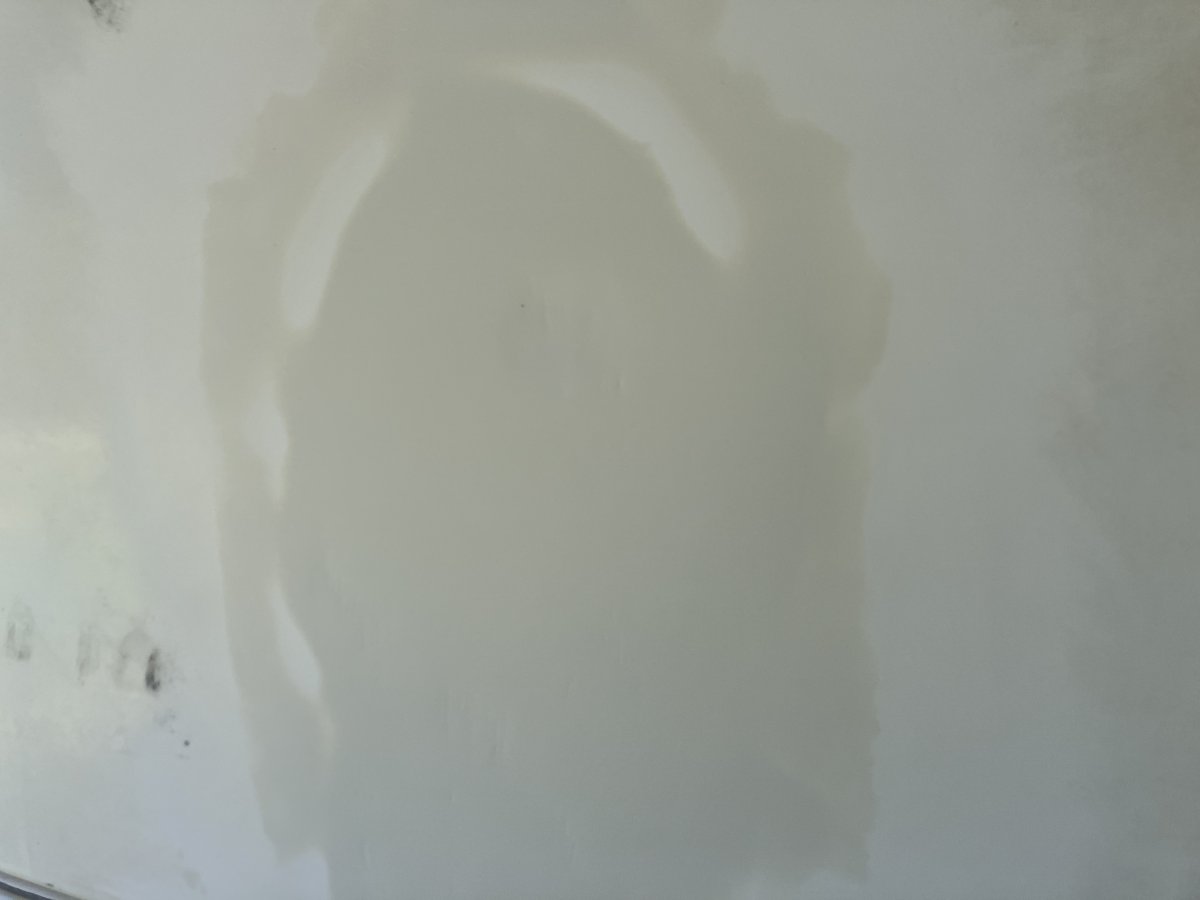 D8B50DEF-B3AD-4C22-A1DF-EDD19026615A.jpeg