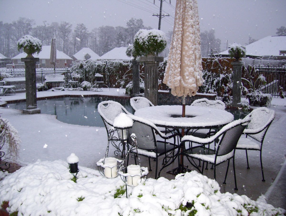 Dec'08 Snow (9).JPG