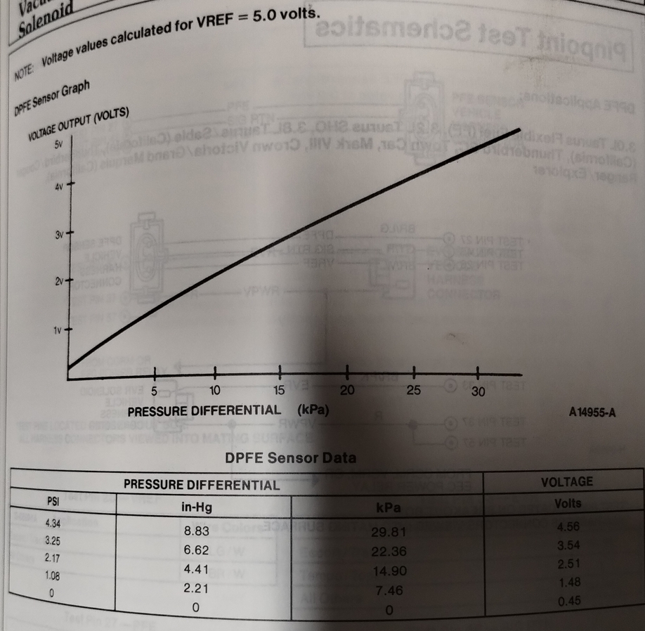 DPFE_4.jpg
