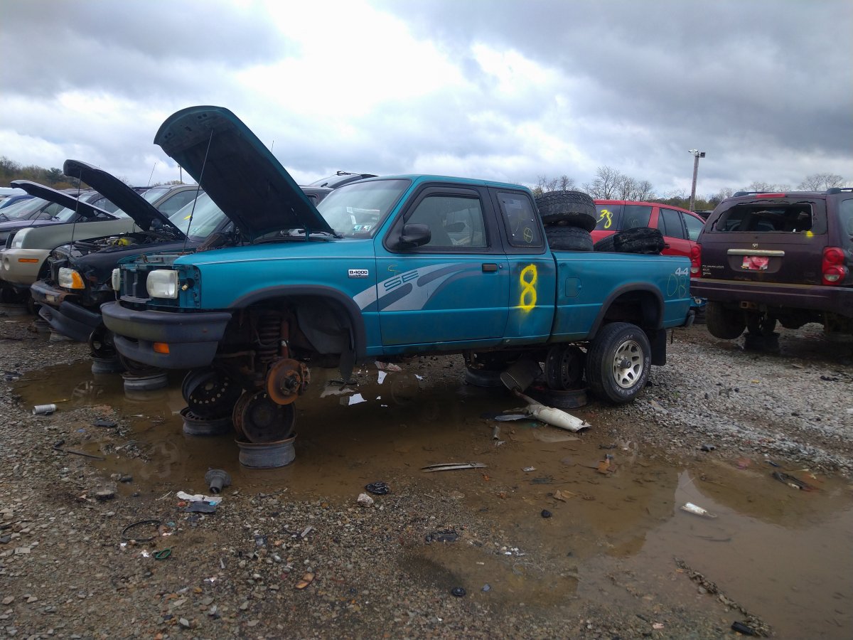 DSC_0296.JPG
