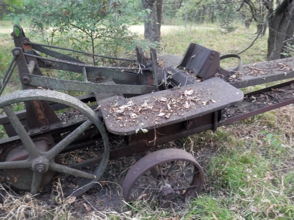 DSCF2794.JPG