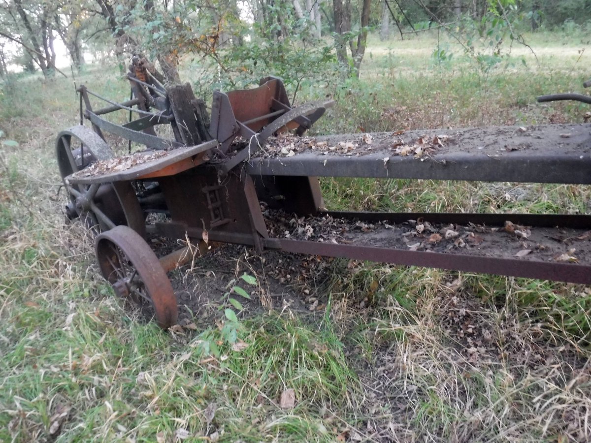 DSCF2810.JPG