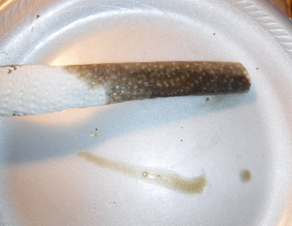 DSCF4582.JPG