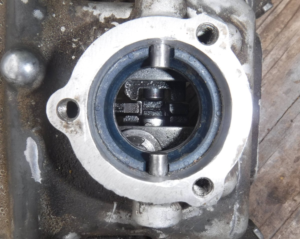 DSCF8504.JPG