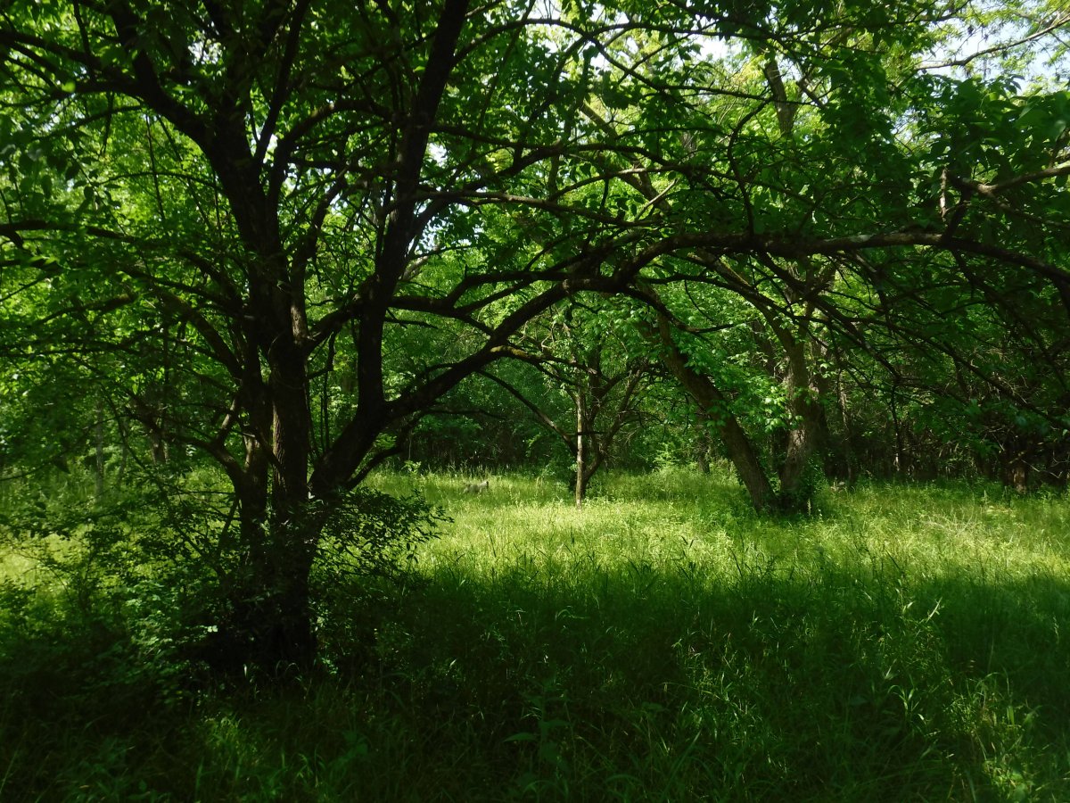 DSCF8550.JPG