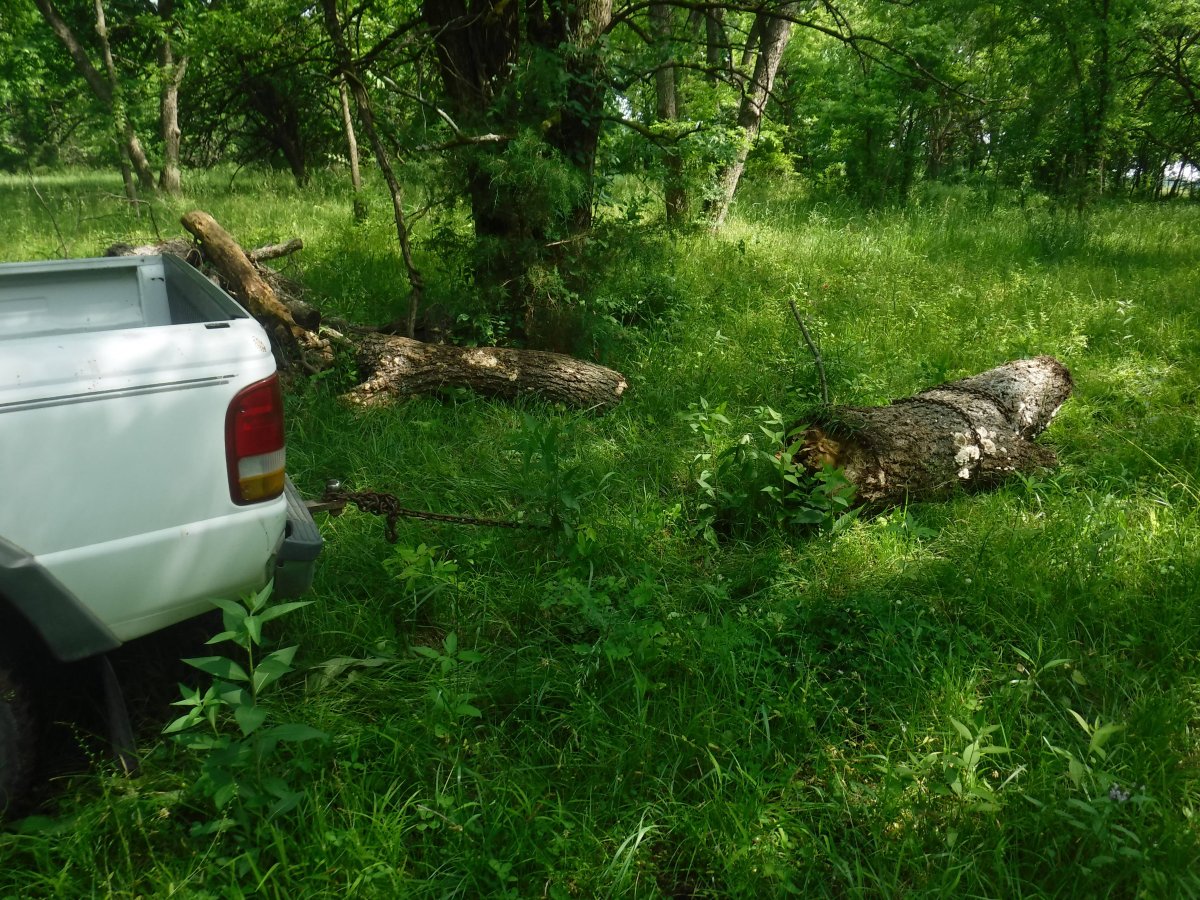 DSCF8554.JPG