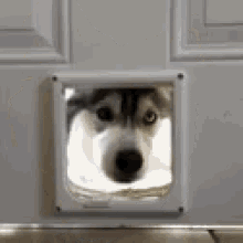 E0E12CE9-72F4-4F34-9C3E-428B541BE2C2.gif