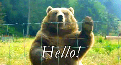 E6709C79-7D13-4BF0-B7DE-9617391EDA0B.gif