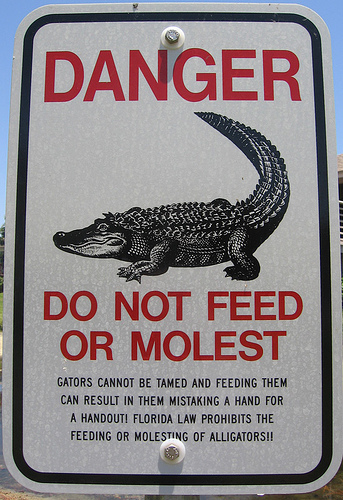 74673