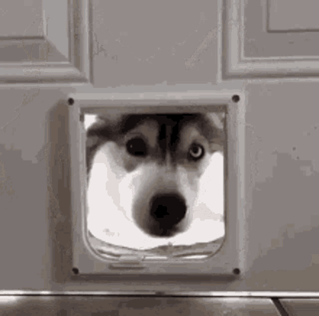 F6FEC411-16D5-4B60-A50B-150274EE5356.gif