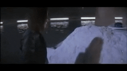 FairTintedAlbatross-size_restricted.gif