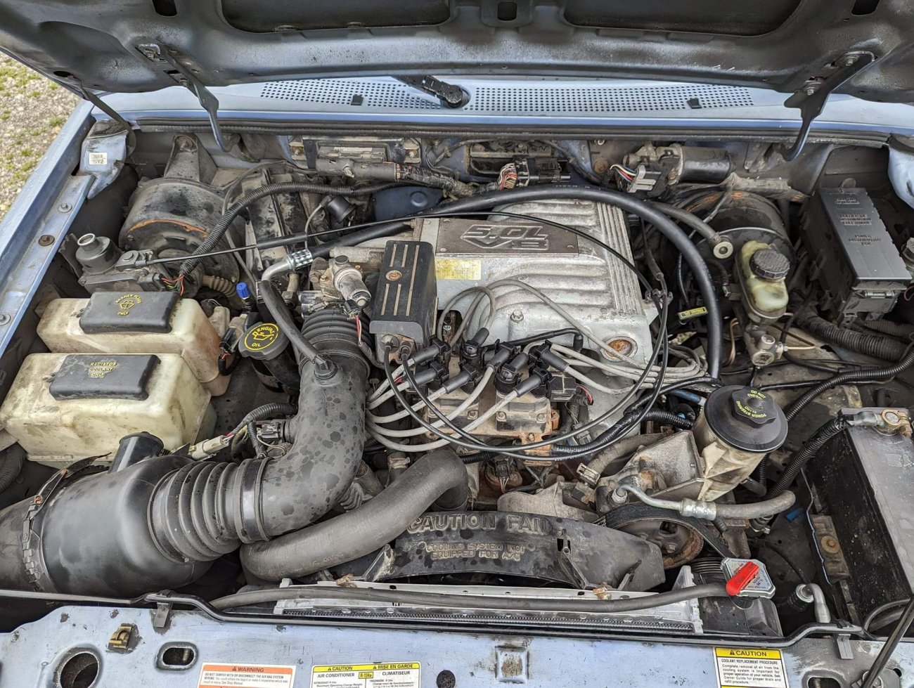 PlumCrazy's V8 Daily Driver Build