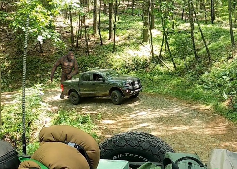 Georgia Bigfoot.jpg