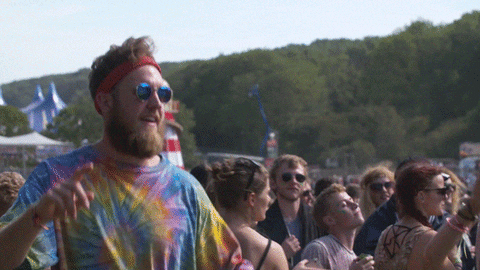 giphy (1).gif