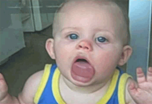 giphy (27).gif